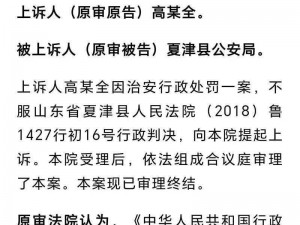 汉王纷争：治安值决定胜败——深入了解治安值的多维作用与价值