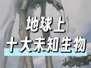 箱中之神秘物揭秘：神庙深处的未知答案探寻之路