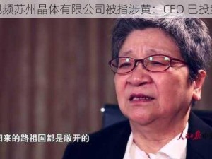 粉色视频苏州晶体有限公司被指涉黄：CEO 已投案自首