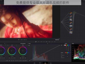 免费提供专业级大片调色视频的软件