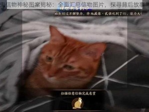 阴阳师饿鬼信物神秘图案揭秘：全面汇总信物图片，探寻背后故事与象征意义