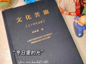 日本xxxx19：一场跨越时空的文化之旅