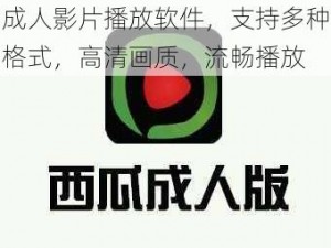 成人影片播放软件，支持多种格式，高清画质，流畅播放