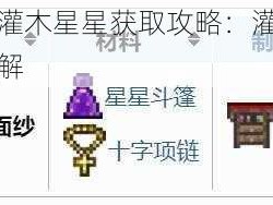 泰拉瑞亚灌木星星获取攻略：灌木星星获得方法详解