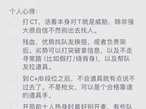 暴躁老阿姨csgo新手技巧小说、暴躁老阿姨的 CSGO 新手成长日记