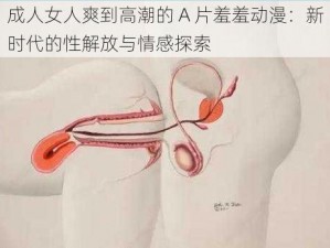 成人女人爽到高潮的 A 片羞羞动漫：新时代的性解放与情感探索