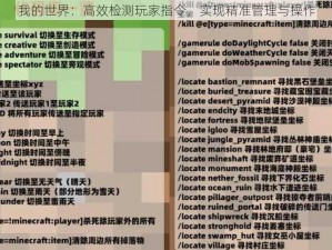 我的世界：高效检测玩家指令，实现精准管理与操作