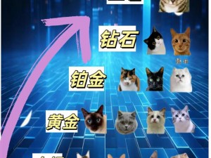 猫鼠争霸：最强猫排名揭晓，谁将登顶霸主之位？