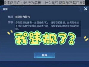 王者荣耀违反用户协议行为解析：什么是违规操作及其后果影响探究