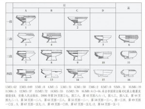 24种B型标意图—什么是 24 种 B 型标意图？它们有什么特点和用途？