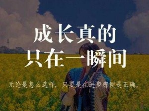 时光流转，一切依旧熟悉的模样：深度探索不变的世界