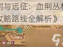 《剑与远征：血荆丛林探险攻略路线全解析》