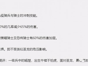 魔塔之英雄无敌迷之回廊攻略详解：策略与技巧全面解析