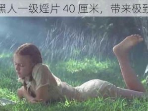 优质黑人一级婬片 40 厘米，带来极致体验