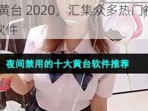 18 款禁用黄台 2020，汇集众多热门视频资源的视频播放软件