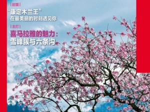 大地中文官网(大地中文官网是什么？带你探索神秘的中文世界)