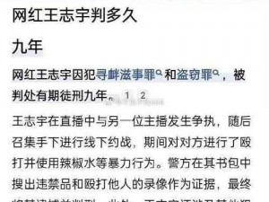 宇将军成为网络热梗背后的真相及其刑期揭秘：宇将军被判多久？