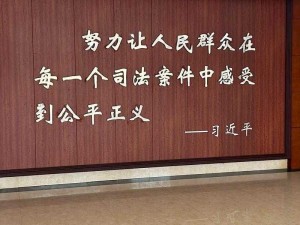 努力让人民群众在每一个司法案件中感受到公平正义：司法为民，公正司法