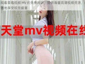 在线观看草莓视频 MV 的免费网站，提供海量高清视频资源，让你随时随地享受视觉盛宴