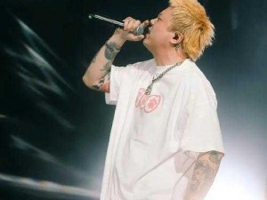 17 岁 RAPPER 回应抄袭争议