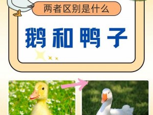 Goose Goose Duck肉汁详解：了解肉汁定义与在鹅鸭杀中的重要作用