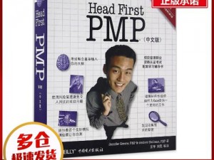 深入浅出 PMP：一本让你轻松掌握项目管理精髓的宝典，不慎意外走红