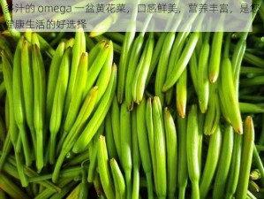 多汁的 omega 一盆黄花菜，口感鲜美，营养丰富，是您健康生活的好选择