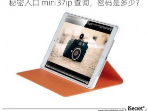 秘密入口 mini37ip 查询，密码是多少？