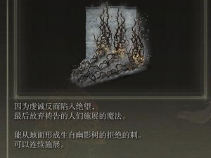 艾尔登法环DLC米丽安消失之谜：魔法获取攻略详解