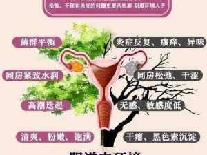 freeHD18 麻豆养身，一款呵护女性健康的私密护理品牌