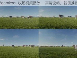 ZoomkooL 牧场视频播放——高清流畅，智能推荐