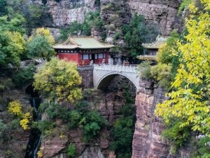 生机盎然，苍岩绘新景——探索自然之力与人文之美