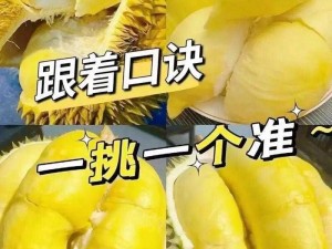 ▇榴莲视频▇在线观看下载安装—如何下载安装榴莲视频？