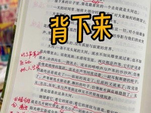 探寻 1418tes 处小学的宝藏——解读这所小学的独特之处