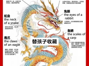 龙腾九天：揭秘东方神话背后的历史真相与文化内涵