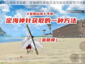 妄想山海新手攻略：定海神针获取方法与高效刷取技巧详解