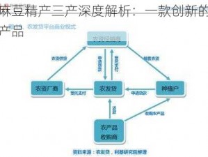 麻豆精产三产深度解析：一款创新的产品