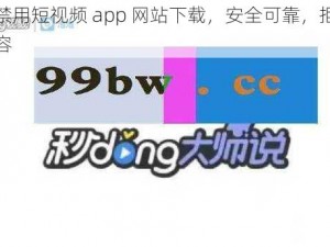 成品禁用短视频 app 网站下载，安全可靠，拒绝低俗内容