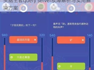 头脑王者query server故障解析与实用解决方案