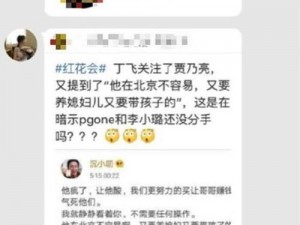 pgone 承认搞过 6 次，自称使用过的某品牌产品可以助兴