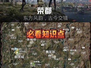 和平精英的和平营地：解析游戏内外的互动与社交新功能解析