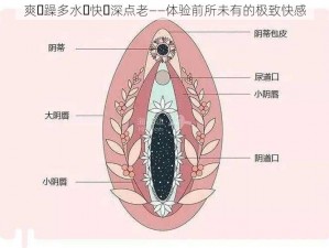 爽⋯躁多水⋯快⋯深点老——体验前所未有的极致快感