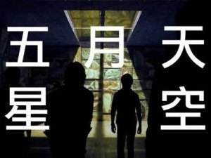 星空无痕 mv 免费观看苏清歌：一款畅享视觉盛宴的 APP