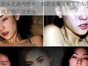 张柏芝奶头无遮挡图片：知名女星张柏芝的私密照片，引发了网友的广泛关注