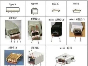 多功能 B 型 3 人转接口，满足不同需求