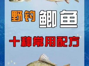 独占鳌头：揭秘鲫鱼饵料排行榜榜首的神秘配方