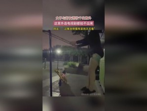 超值珍藏寒假作业张婉莹 1080p 高清画质，让学习更有趣