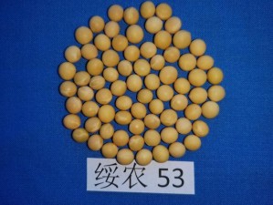 精产国品一二三产区m553麻豆;如何评价精产国品一二三产区 m553 麻豆？