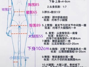 926290三围 拥有完美三围是一种什么样的体验？926290 三围了解一下