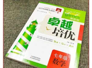 战魂中组合技三元结界冷却时间揭秘：探究技能特性与实战应用 FJ+答案